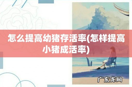 怎样提高小猪成活率 怎么提高幼猪存活率