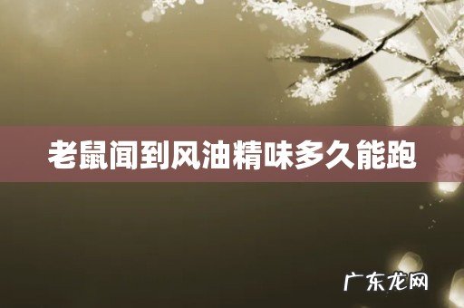 老鼠闻到风油精味多久能跑