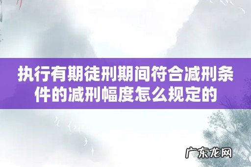 执行有期徒刑期间符合减刑条件的减刑幅度怎么规定的