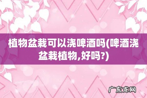 啤酒浇盆栽植物,好吗? 植物盆栽可以浇啤酒吗