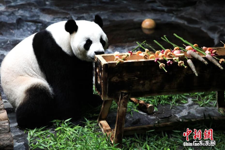 精彩的六一儿童节目 六一儿童节目有哪些节目