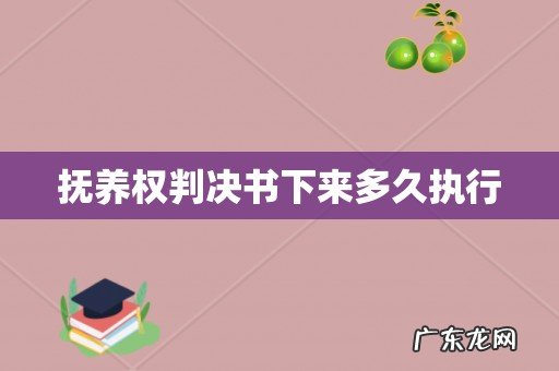 抚养权判决书下来多久执行
