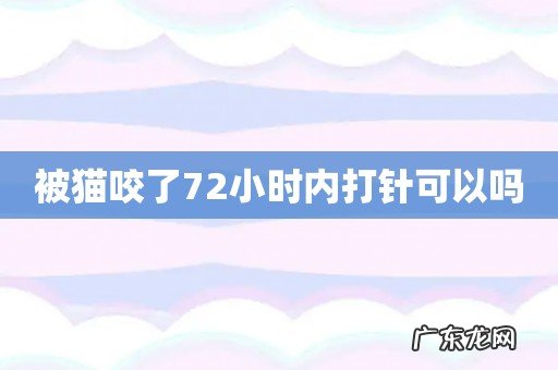 被猫咬了72小时内打针可以吗