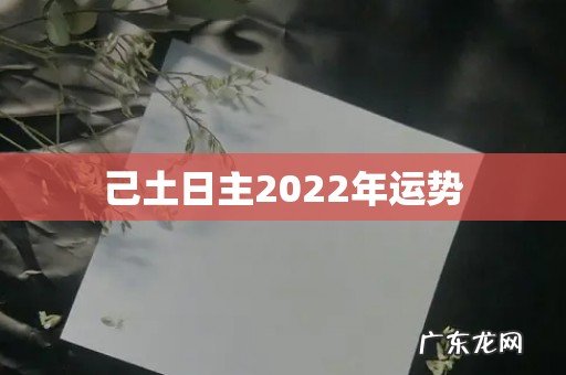 己土日主2022年运势
