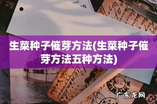 生菜种子催芽方法五种方法 生菜种子催芽方法