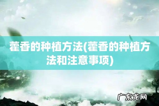 藿香的种植方法和注意事项 藿香的种植方法