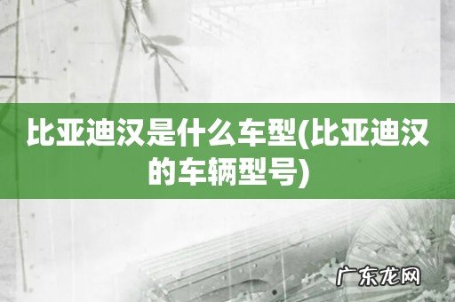 比亚迪汉的车辆型号 比亚迪汉是什么车型