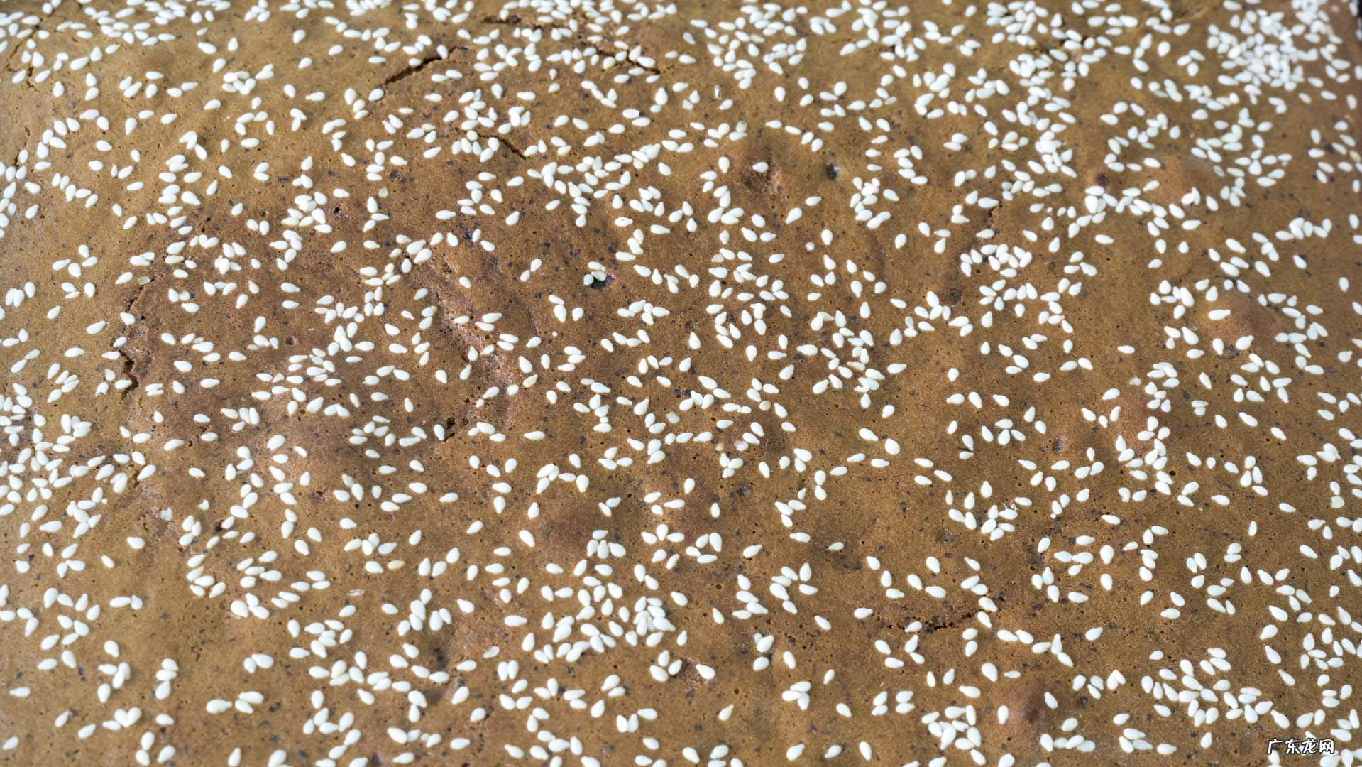 家庭早餐做法大全 营养早餐做法怎么做