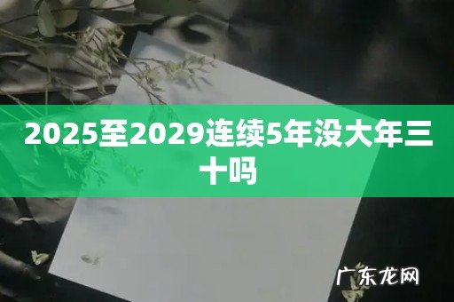 2025至2029连续5年没大年三十吗