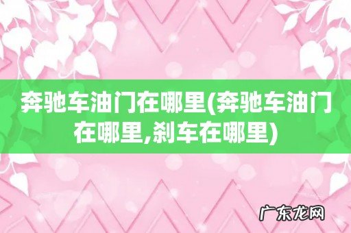 奔驰车油门在哪里,刹车在哪里 奔驰车油门在哪里