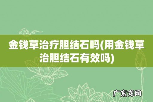 用金钱草治胆结石有效吗 金钱草治疗胆结石吗