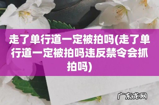 走了单行道一定被拍吗违反禁令会抓拍吗 走了单行道一定被拍吗