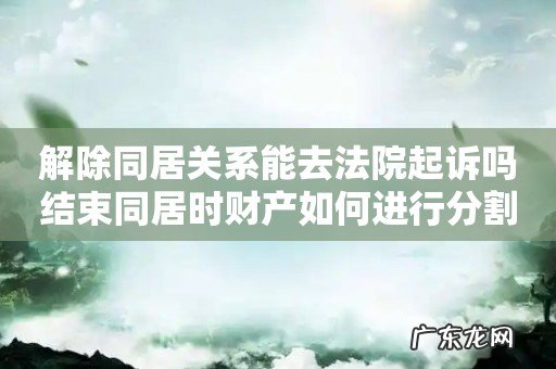 解除同居关系能去法院起诉吗结束同居时财产如何进行分割