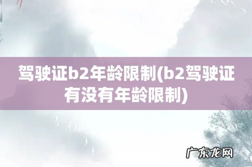 b2驾驶证有没有年龄限制 驾驶证b2年龄限制