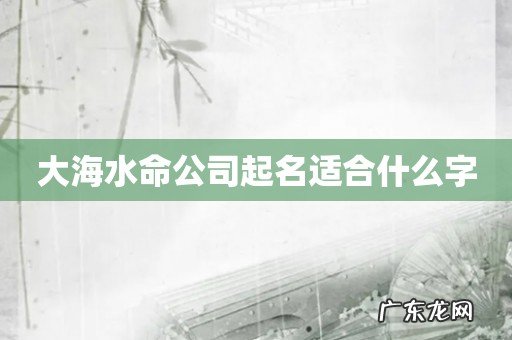 大海水命公司起名适合什么字