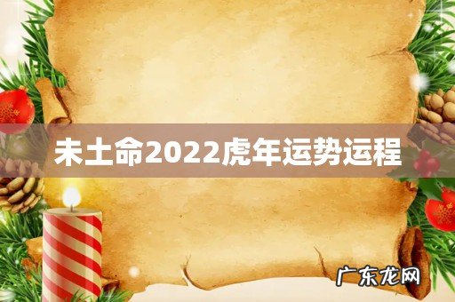 未土命2022虎年运势运程