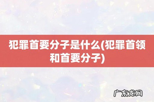 犯罪首领和首要分子 犯罪首要分子是什么
