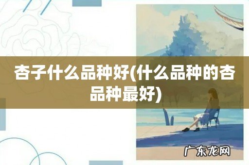 什么品种的杏品种最好 杏子什么品种好