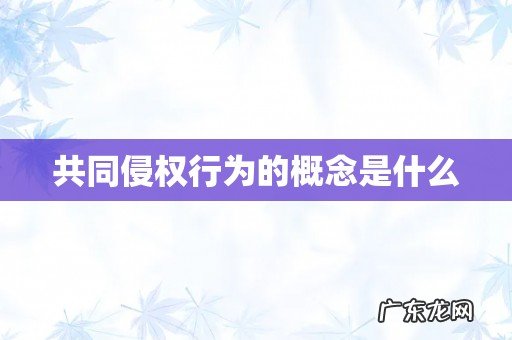 共同侵权行为的概念是什么
