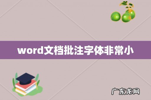 word文档批注字体非常小