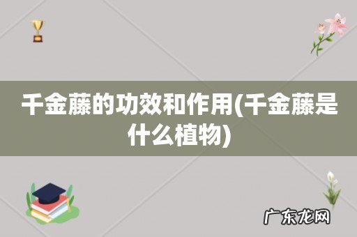 千金藤是什么植物 千金藤的功效和作用