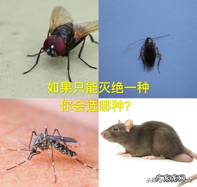 公共厕所标语 厕所标语提示