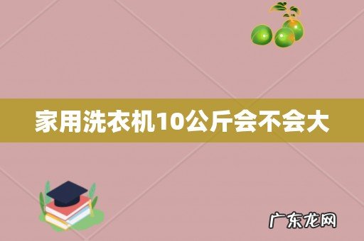 家用洗衣机10公斤会不会大