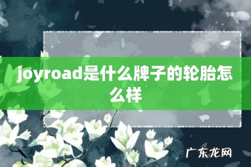 joyroad是什么牌子的轮胎怎么样