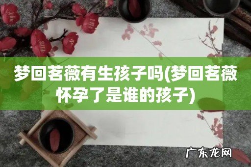 梦回茗薇怀孕了是谁的孩子 梦回茗薇有生孩子吗