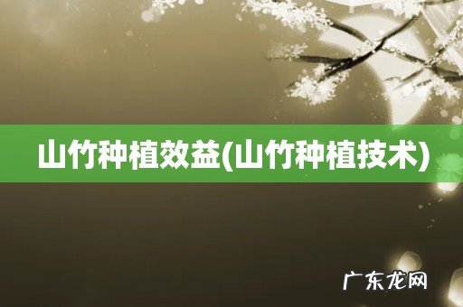 山竹种植技术 山竹种植效益