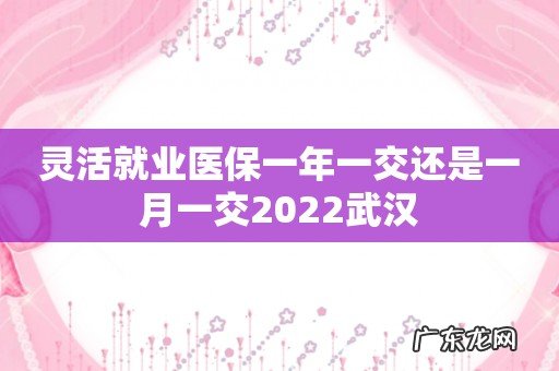 灵活就业医保一年一交还是一月一交2022武汉