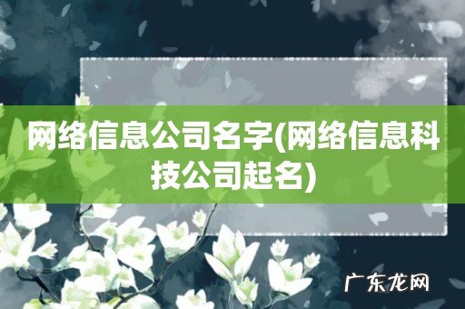 网络信息科技公司起名 网络信息公司名字