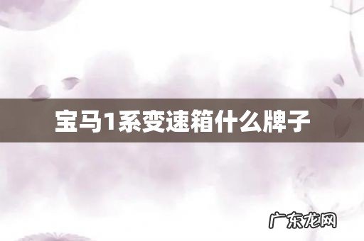 宝马1系变速箱什么牌子