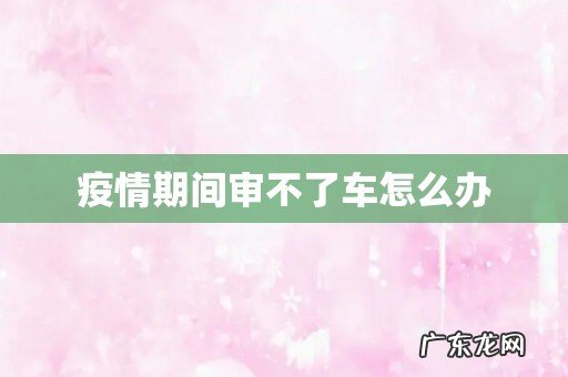疫情期间审不了车怎么办