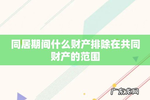 同居期间什么财产排除在共同财产的范围