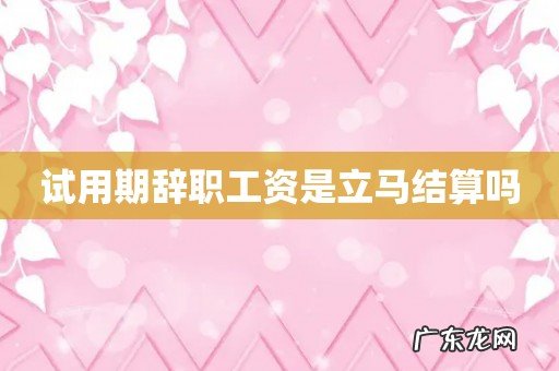 试用期辞职工资是立马结算吗