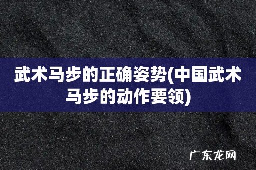 中国武术马步的动作要领 武术马步的正确姿势