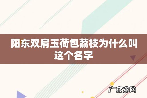 阳东双肩玉荷包荔枝为什么叫这个名字