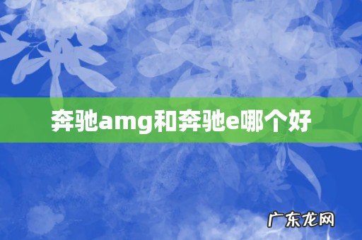 奔驰amg和奔驰e哪个好