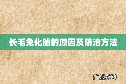 长毛兔化胎的原因及防治方法