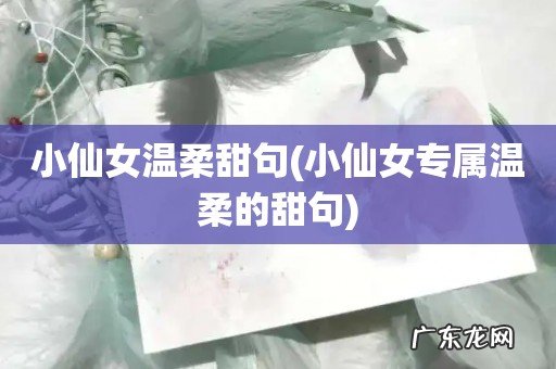 小仙女专属温柔的甜句 小仙女温柔甜句