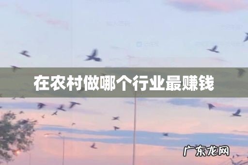 在农村做哪个行业最赚钱