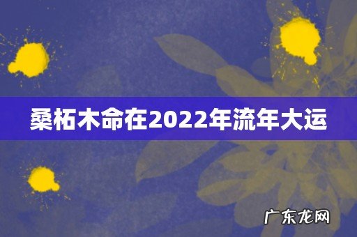 桑柘木命在2022年流年大运