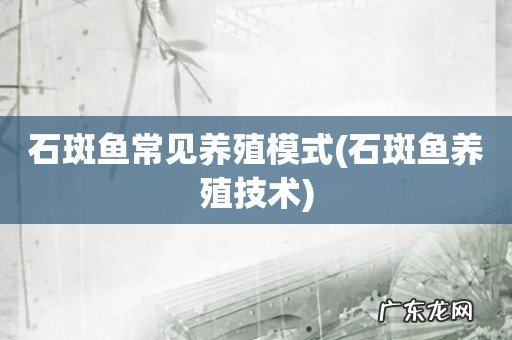 石斑鱼养殖技术 石斑鱼常见养殖模式