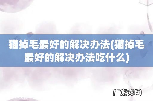 猫掉毛最好的解决办法吃什么 猫掉毛最好的解决办法