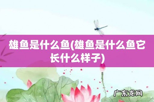 雄鱼是什么鱼它长什么样子 雄鱼是什么鱼