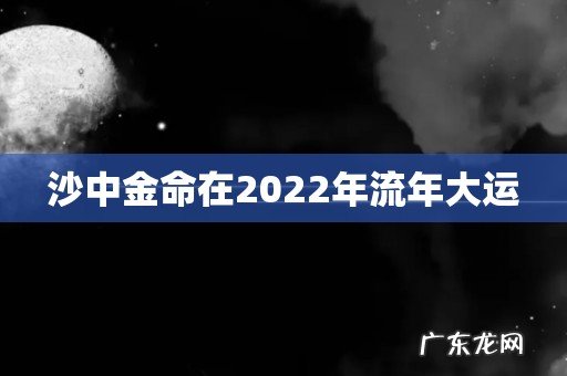 沙中金命在2022年流年大运