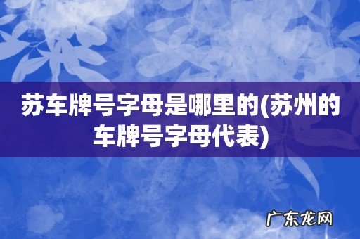 苏州的车牌号字母代表 苏车牌号字母是哪里的