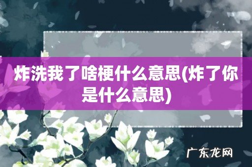 炸了你是什么意思 炸洗我了啥梗什么意思