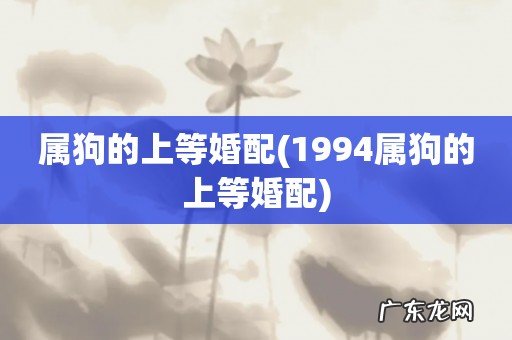 1994属狗的上等婚配 属狗的上等婚配